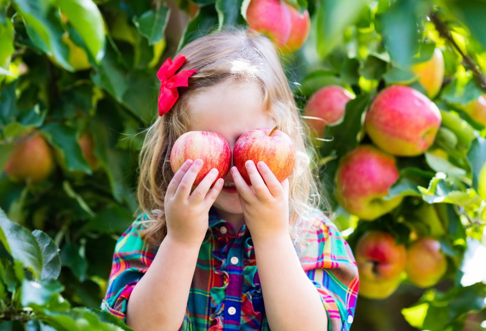 The Best Minnesota Apple Orchards to Bring Your Kids